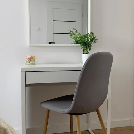 3-room Apartment, Center, Netflix & Wifi * 马佐夫舍地区格罗济斯克